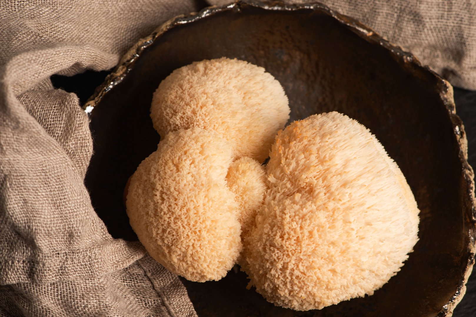Lion's Mane Mushroom