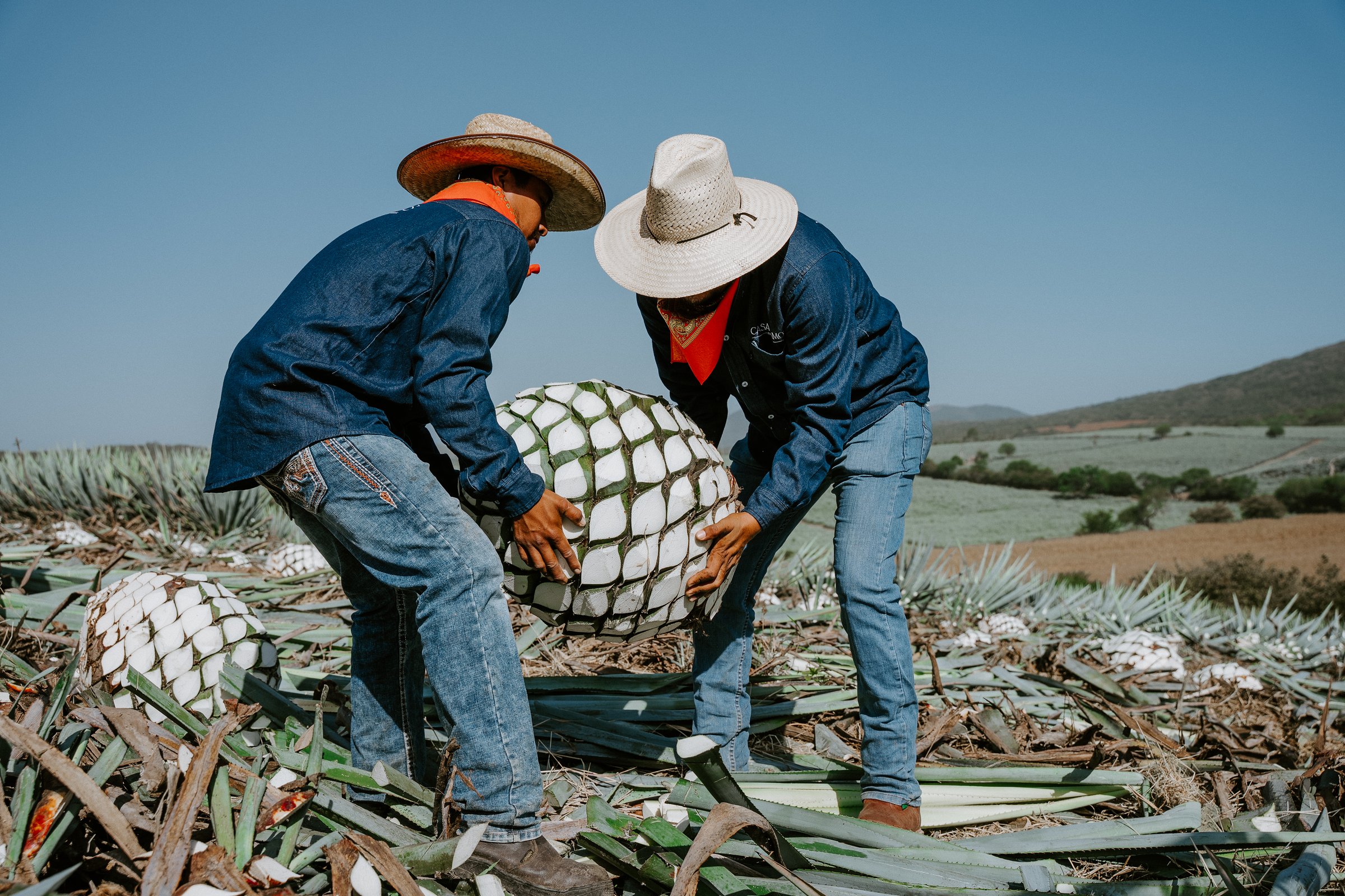 Instalaciones de Casa Álamos Tequilera