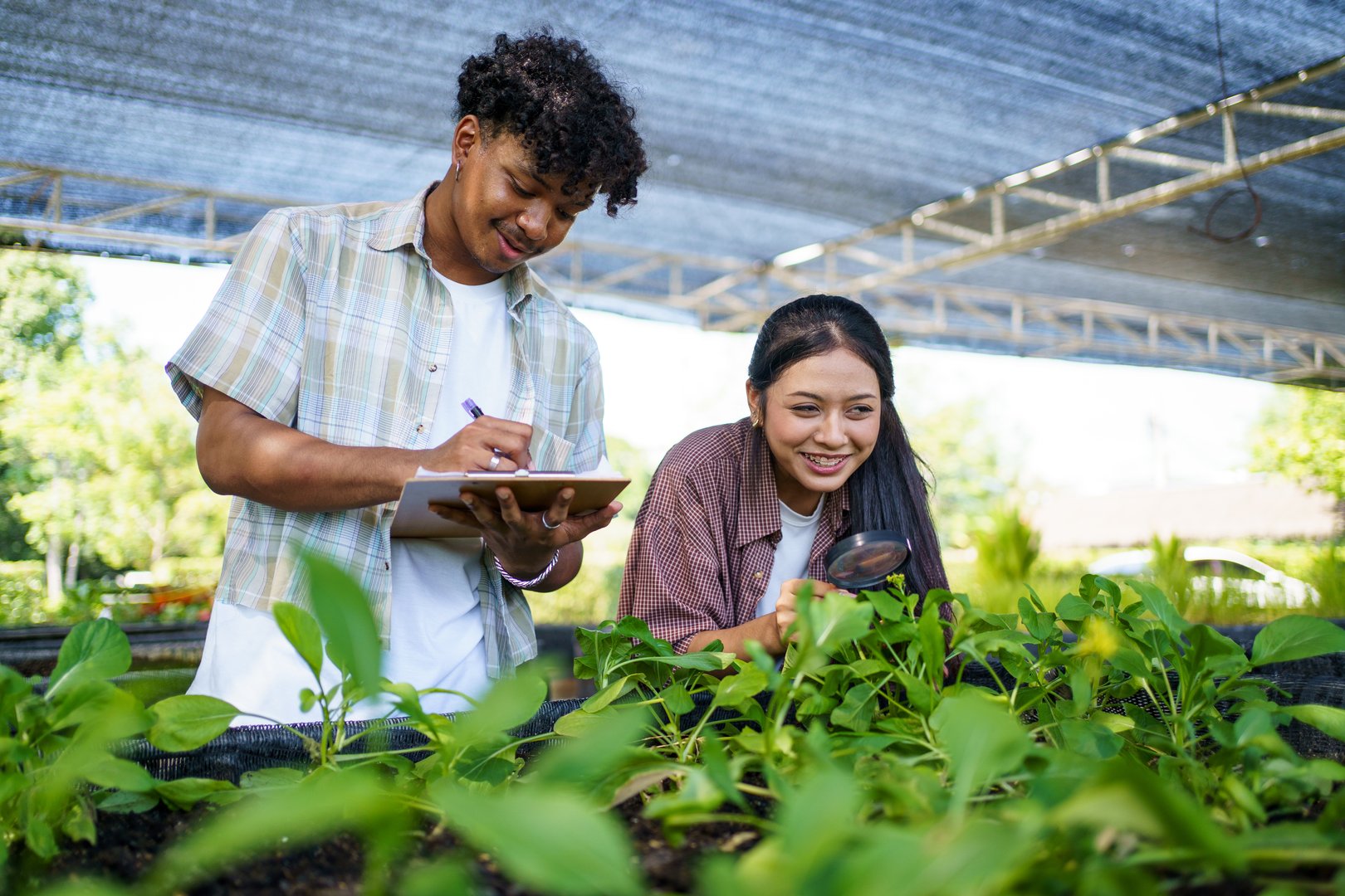 Two high school students are studying plant and vegetable cultivation with focus and care. They carefully record observations in a notepad, highlighting education, and sustainability learning.