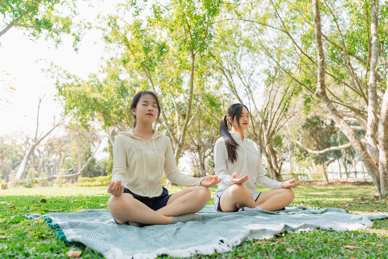 Two Young Women Practicing Meditation Outdoors in a Green Park Surrounded by Trees on a Sunny Day for Relaxation and Mindfulness