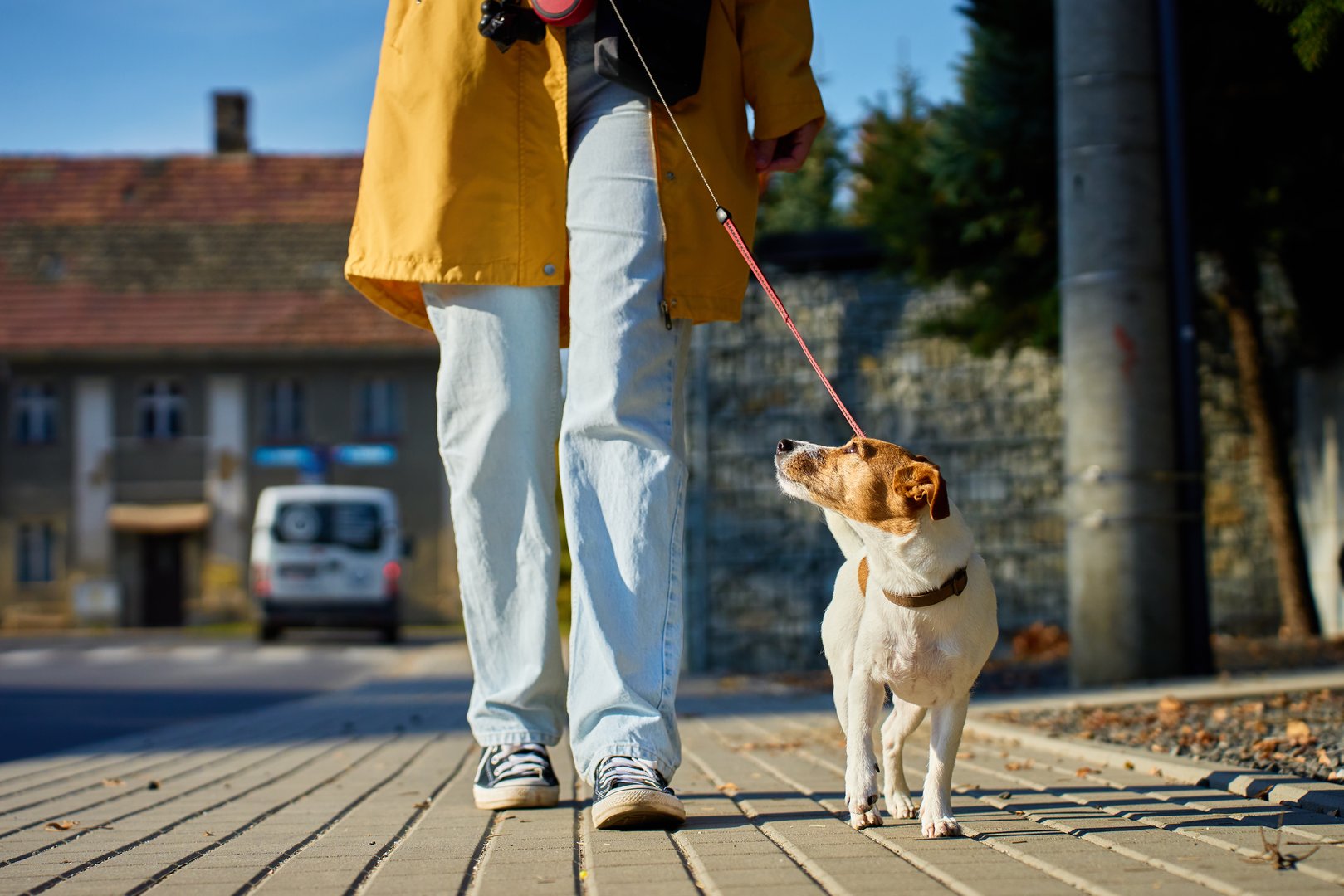 House Sitting Denver - Pet Services in Denver