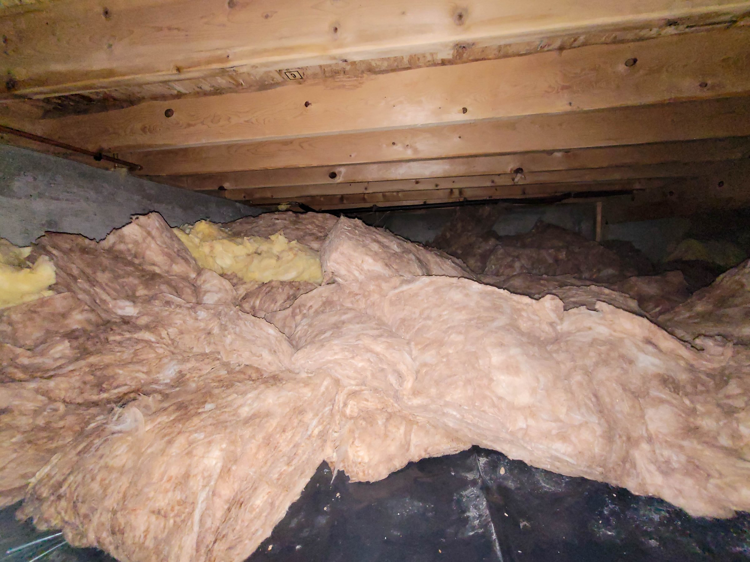 Insulation removal
