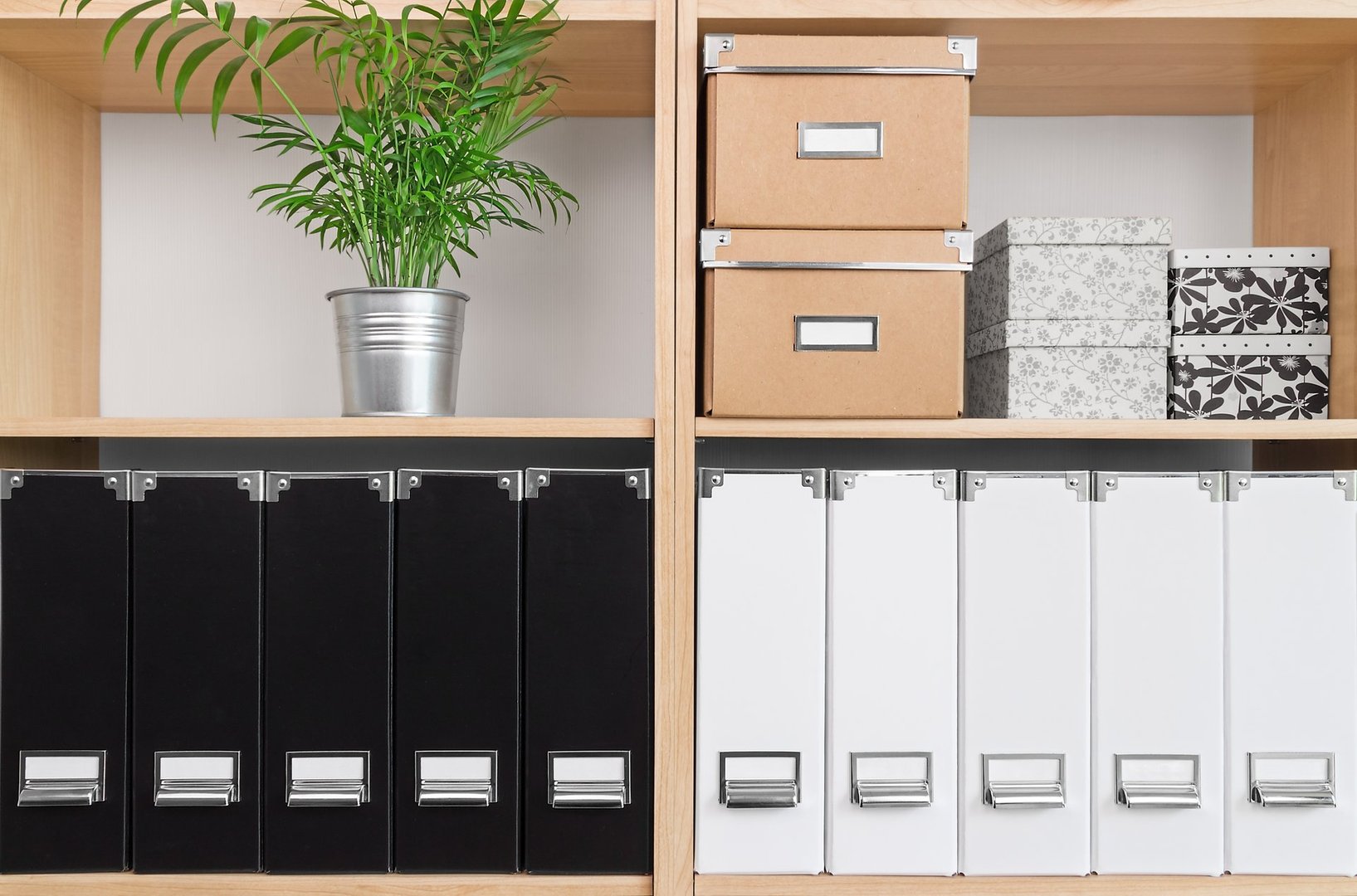 Filing & Organization