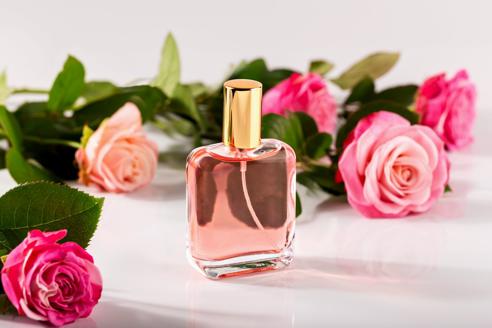 Elegant glass perfume bottle with golden cap with pink liquid, surrounded by pink roses on glossy white surface.