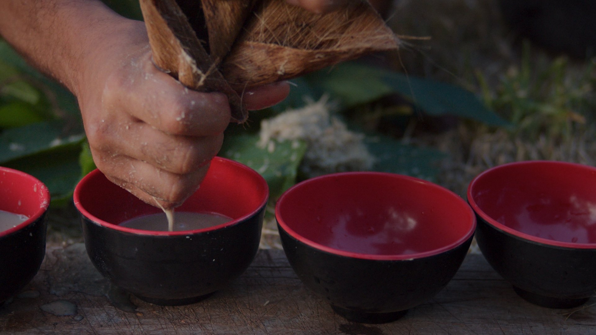 Port Vila / Vanuatu - 15 February 2020: local young black man preparing kava juice drink at a tropical island of Vanuatu in the south pacific ocean during the afternoon by squeezing it to small cups