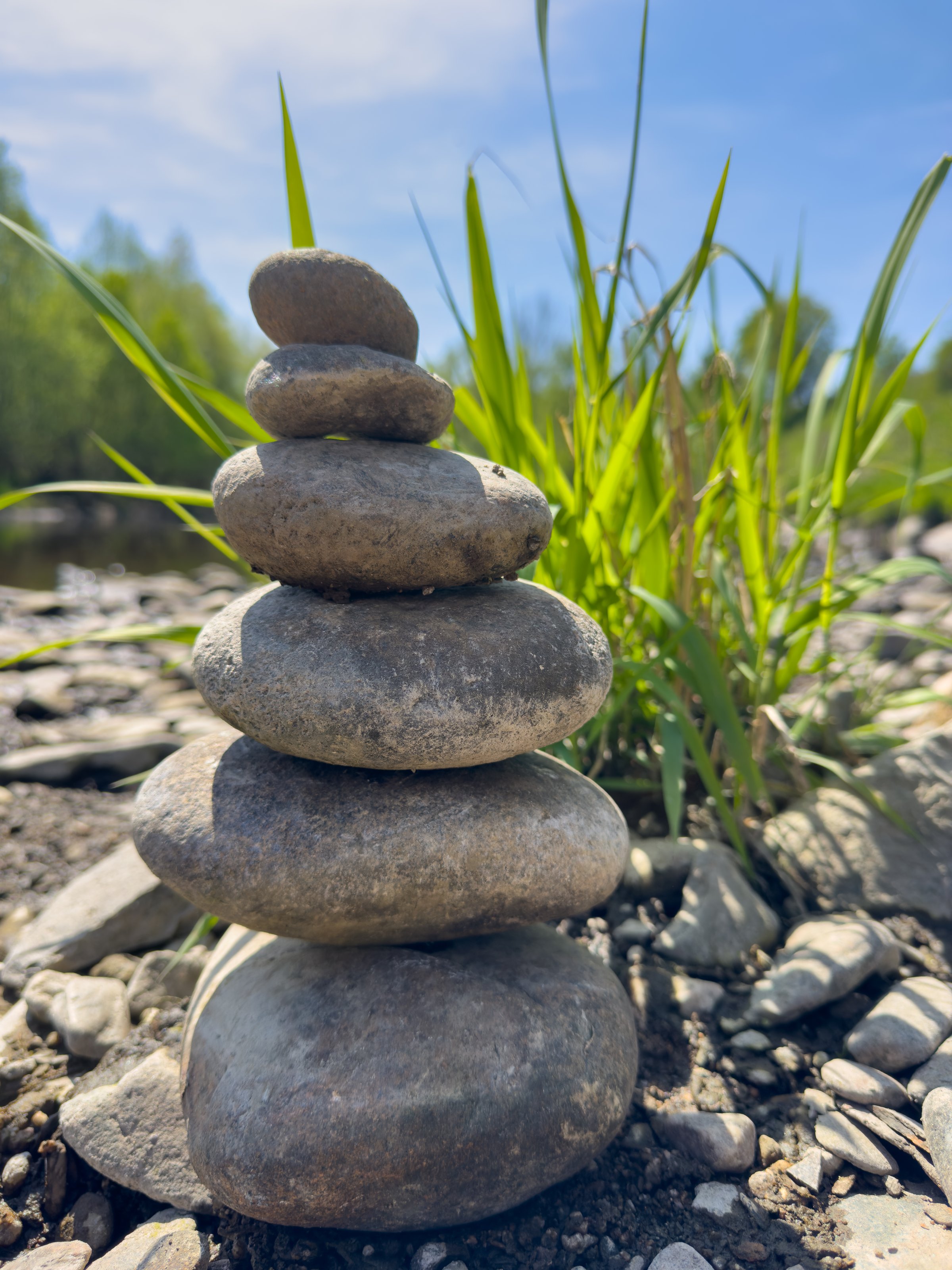 balance stones on the river with plant in the spring zen spa  vertical