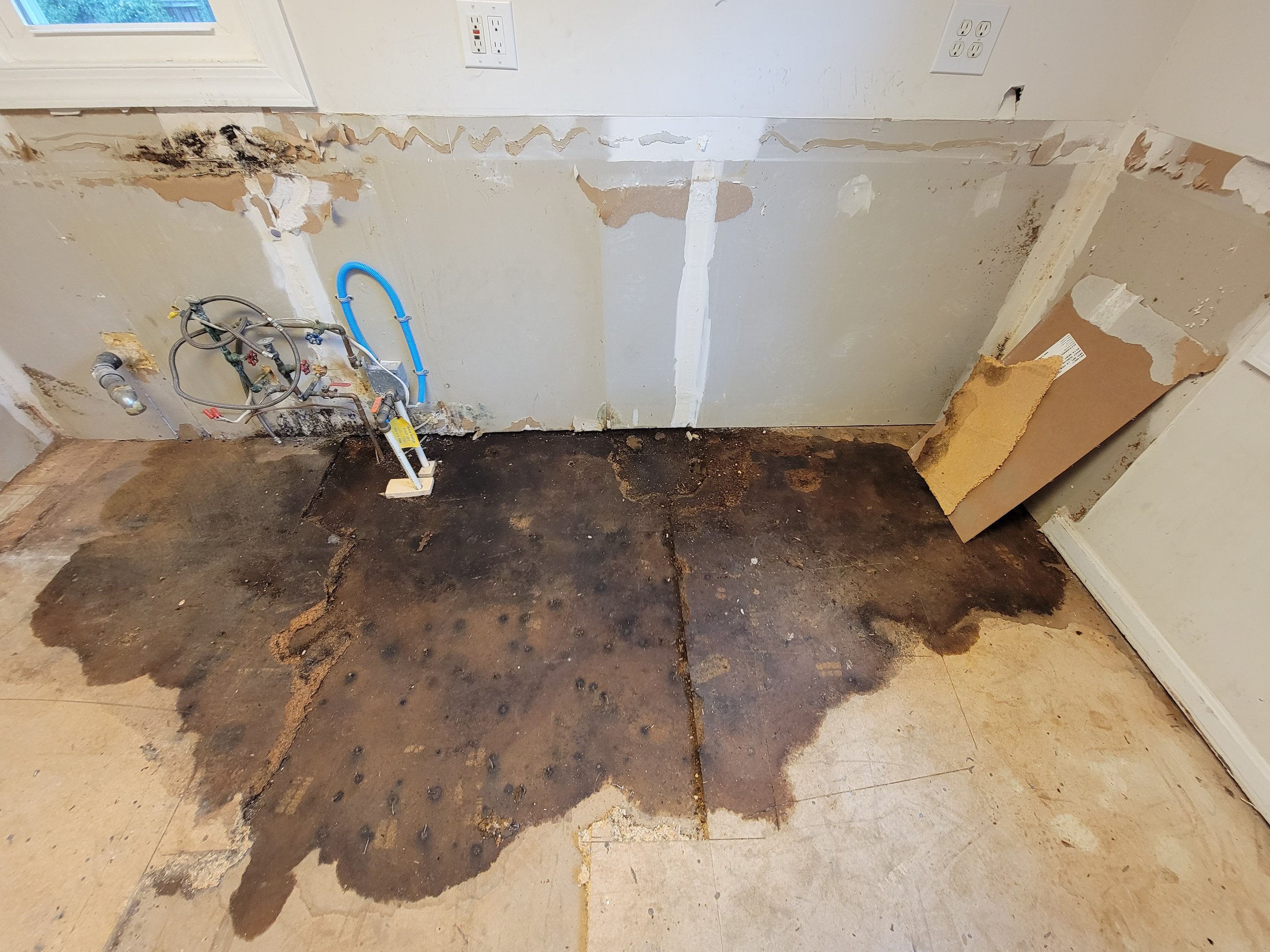 leak under kitchen floor found during construction