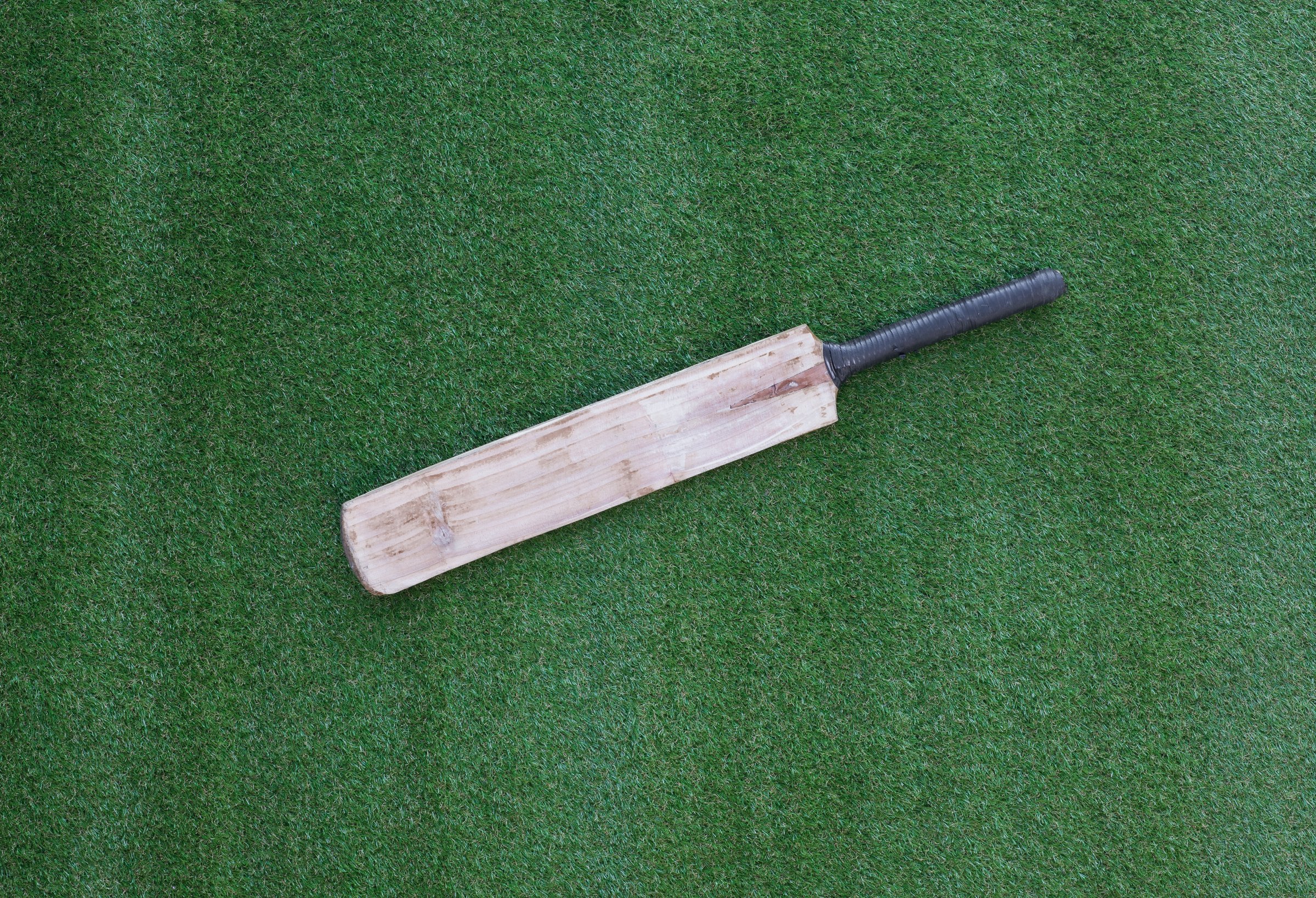 cricket bat on green grass