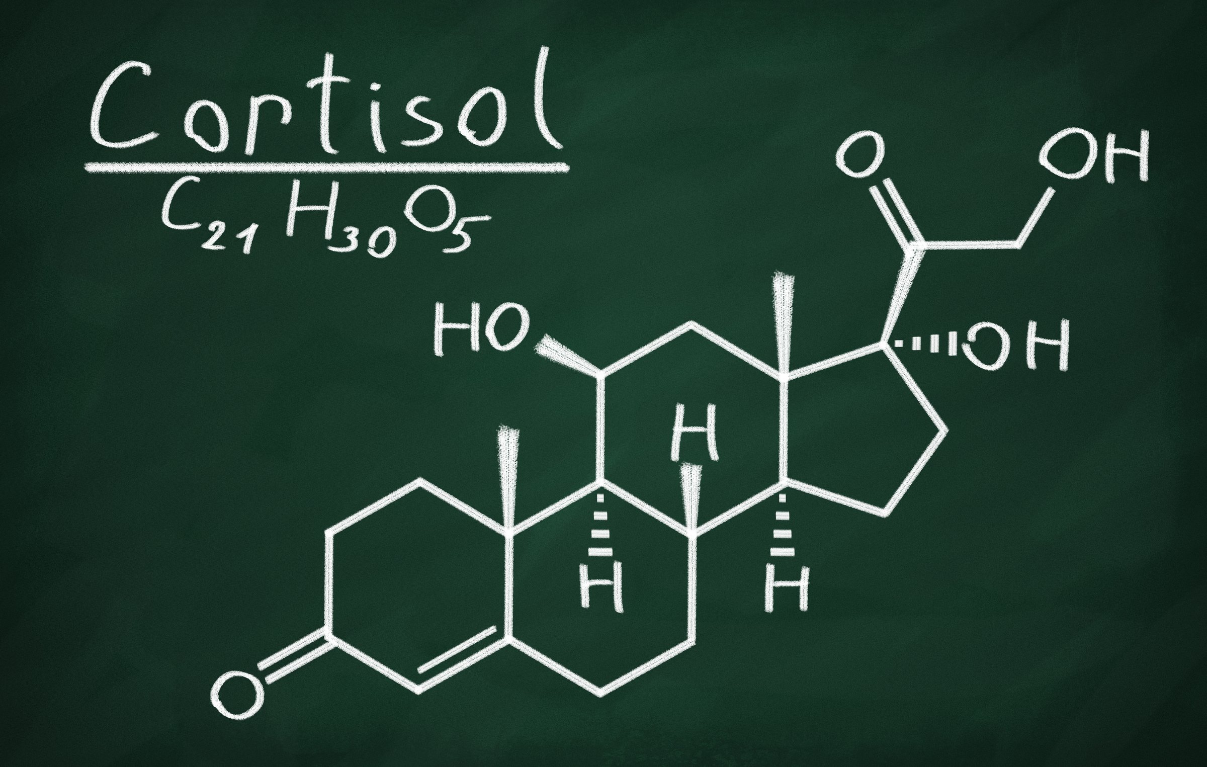 Structural model of Cortisol on the blackboard.Structural model of Cortisol on the blackboard.