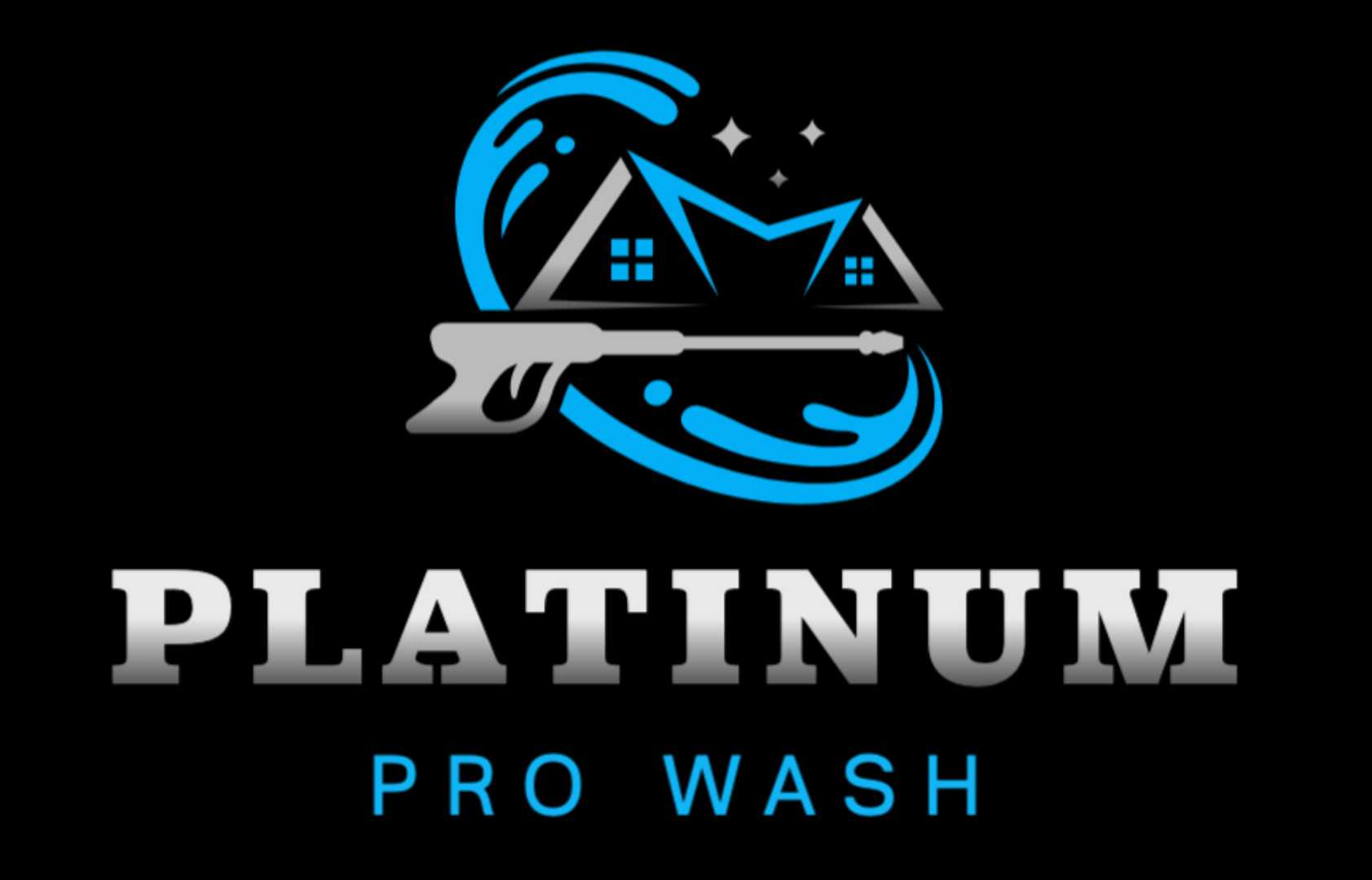 Platinum Pro Wash Logo