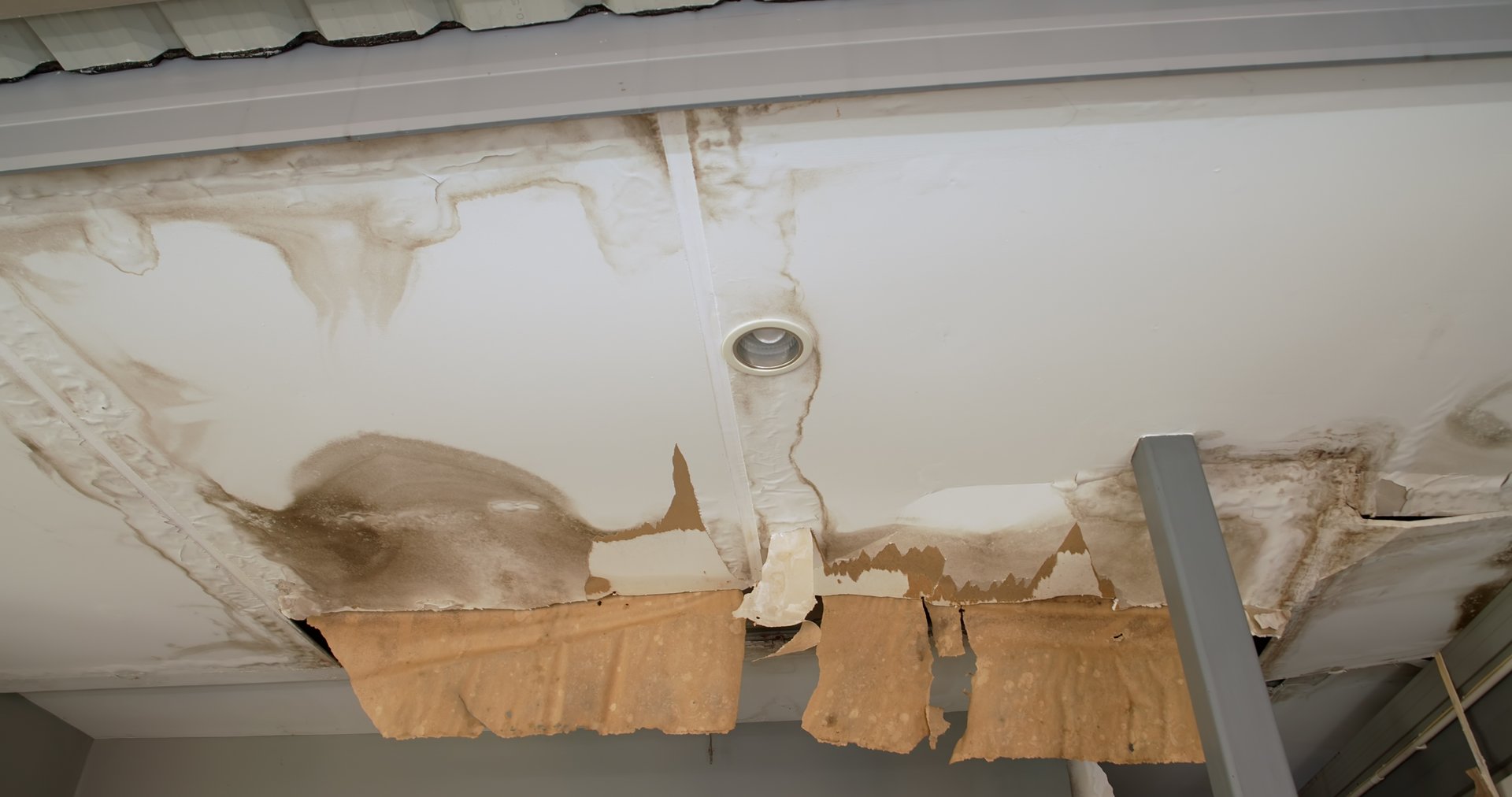 Office building or house problem for house service. Ceiling panels with fungus outside house from water pipes damaged or rainy leaked.