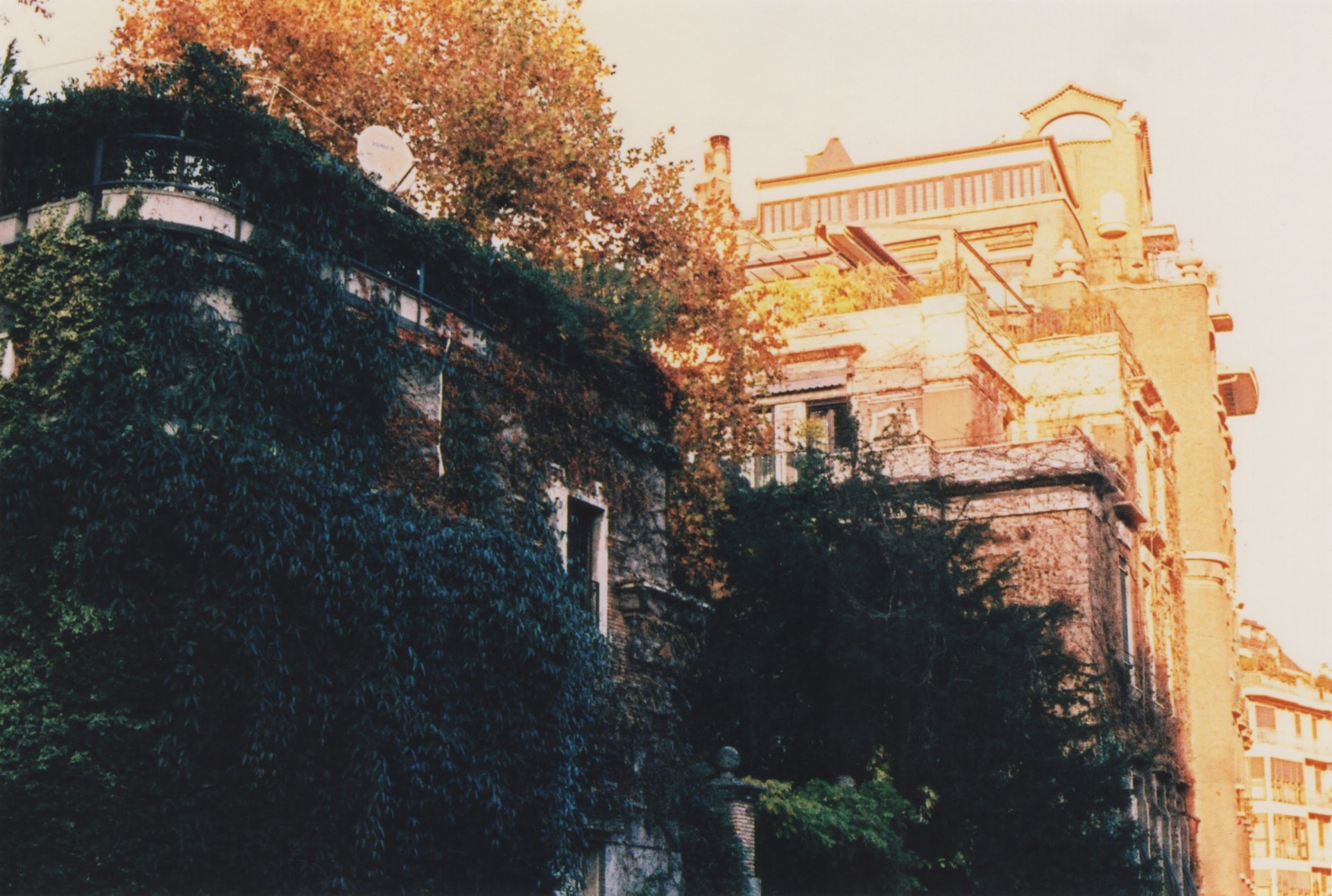 Building covered in ivy with a sunny rooftop terrace and autumn trees in the background.