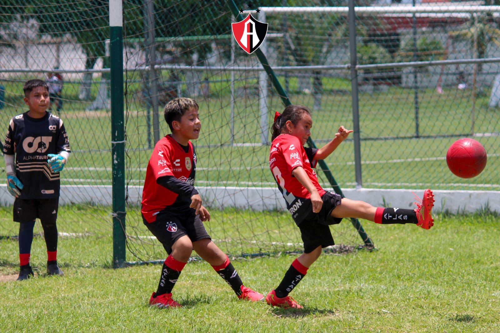 Imagen de galería deportiva