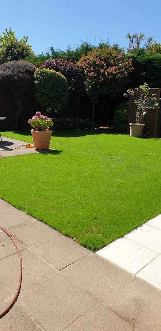 Down To Earth Landscaping