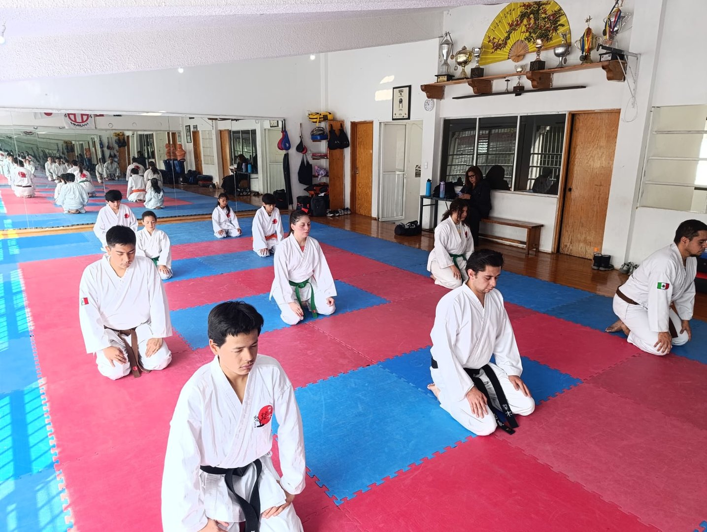 Dojo Image Placeholder 5