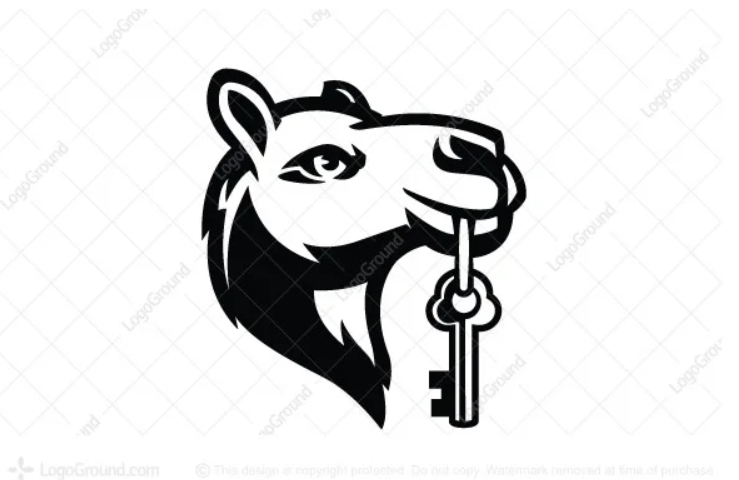 Camel Riding Car Logo
