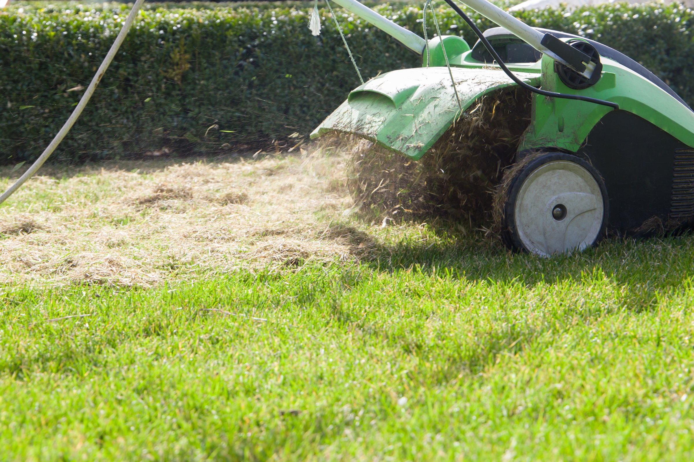 Scarifying machine. Scarification of the lawn.