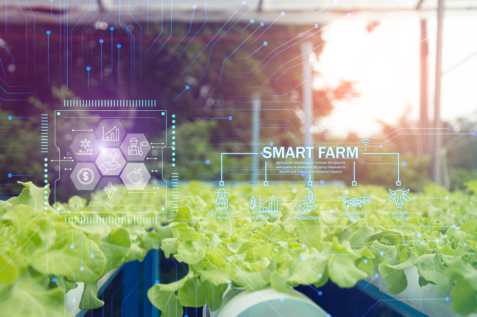 The concept of using AI and smart farming.