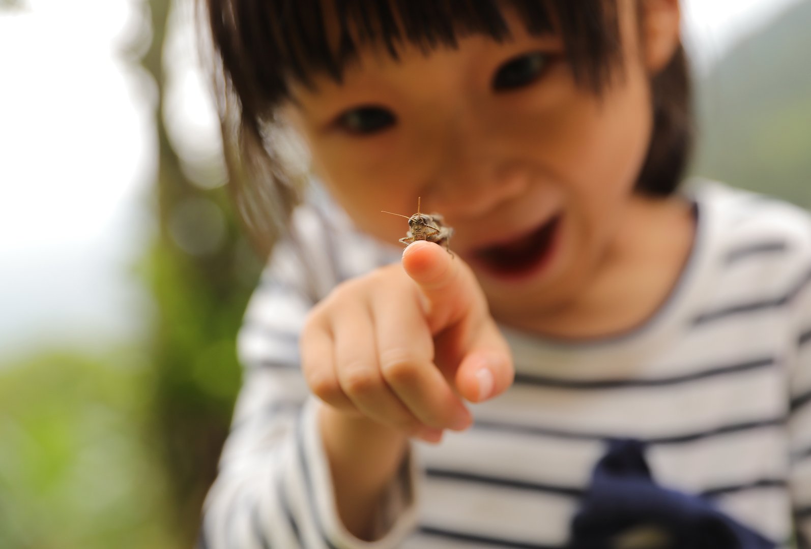 A grasshopper on a child's finger in a park