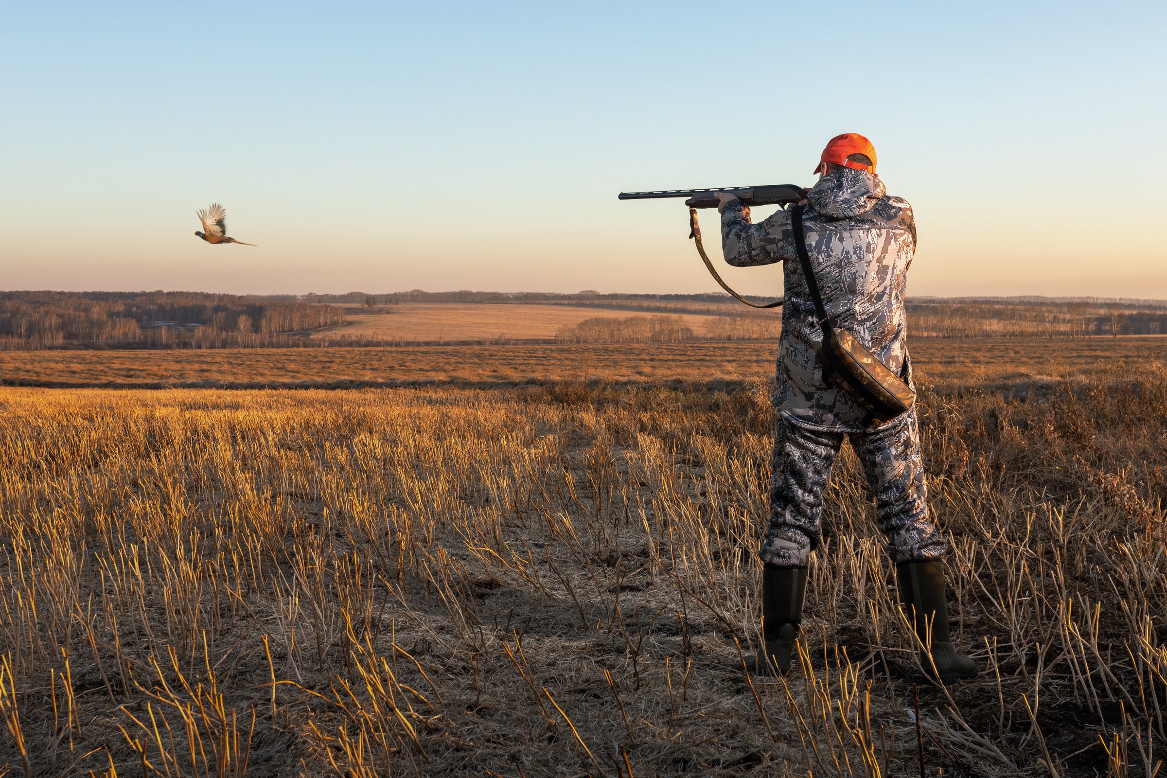 Hunter aiming with rifle on pheasant. Outdoor hunting scene