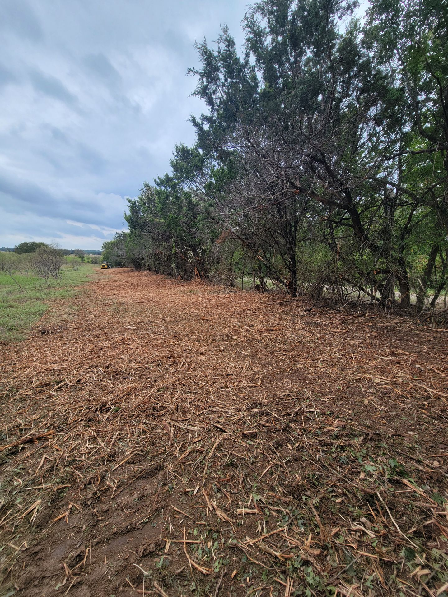 Cedar mulching project