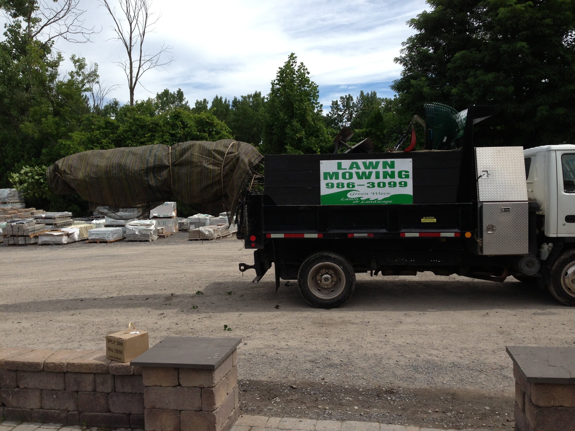 Beautiful trees landscape