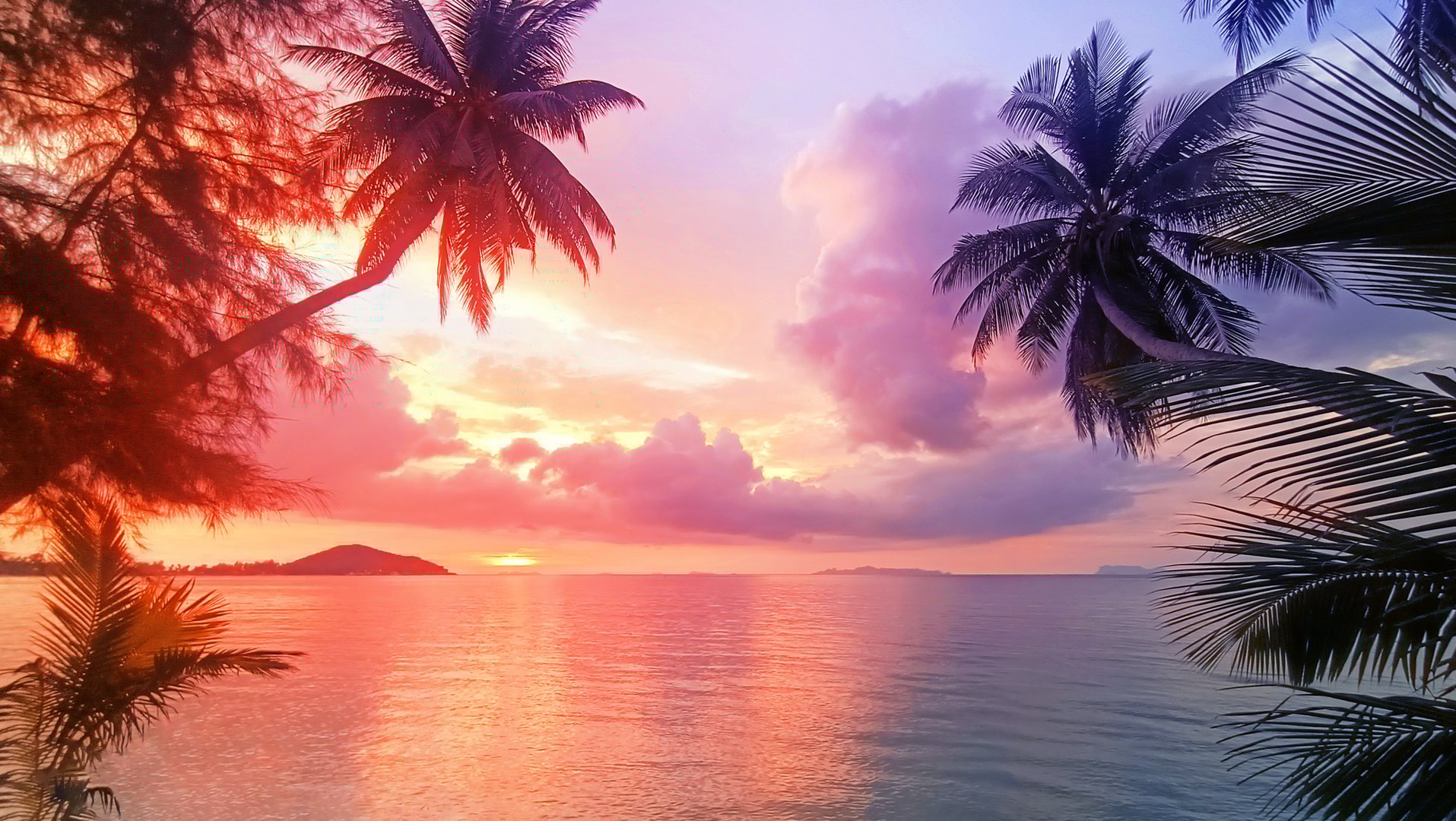Sunset sea beach, sunrise tropical island, beautiful colorful ocean landscape, palm tree leaf, sun reflection, blue water, yellow, red, pink, orange, purple sky cloud, summer holiday, vacation, travel