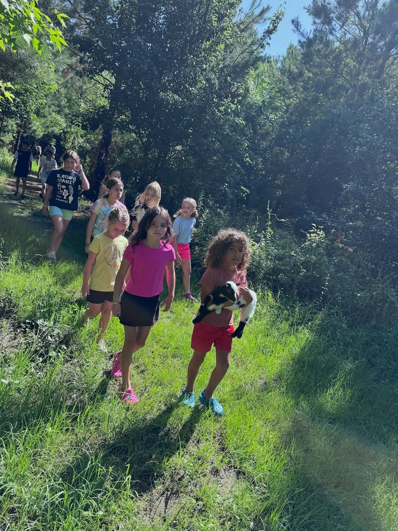 Children enjoying hands-on farm activities at summer camp
