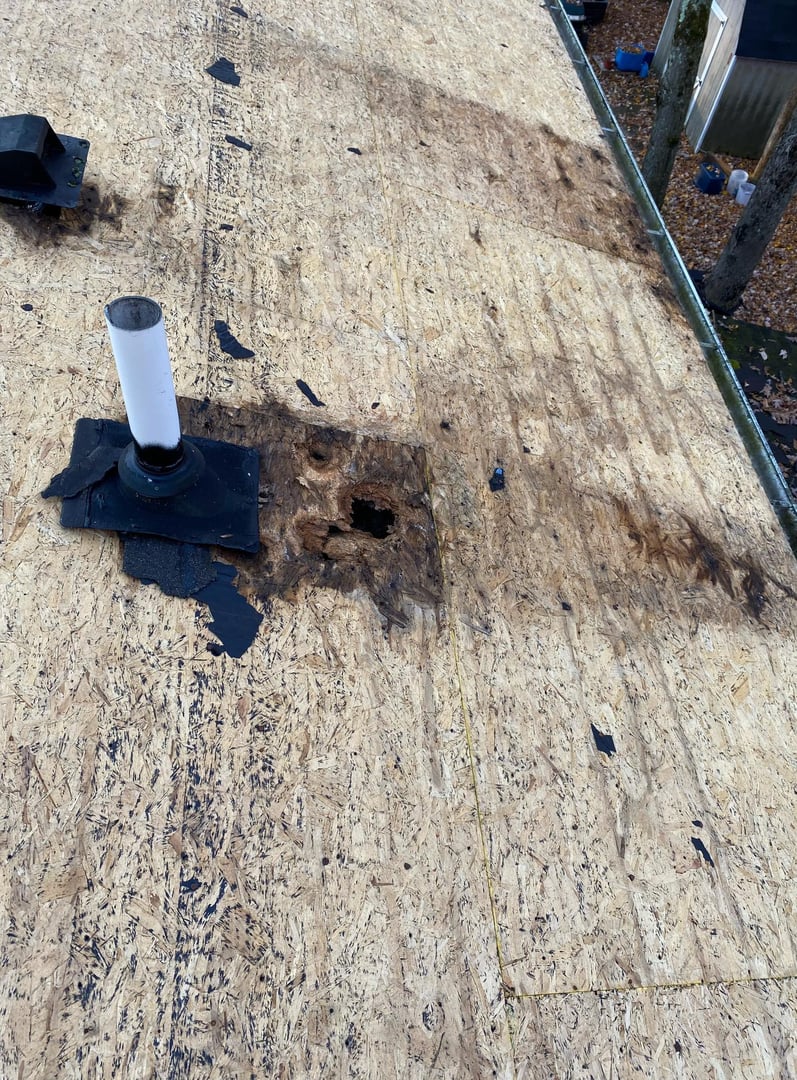 Professional roofing services Monroe MI