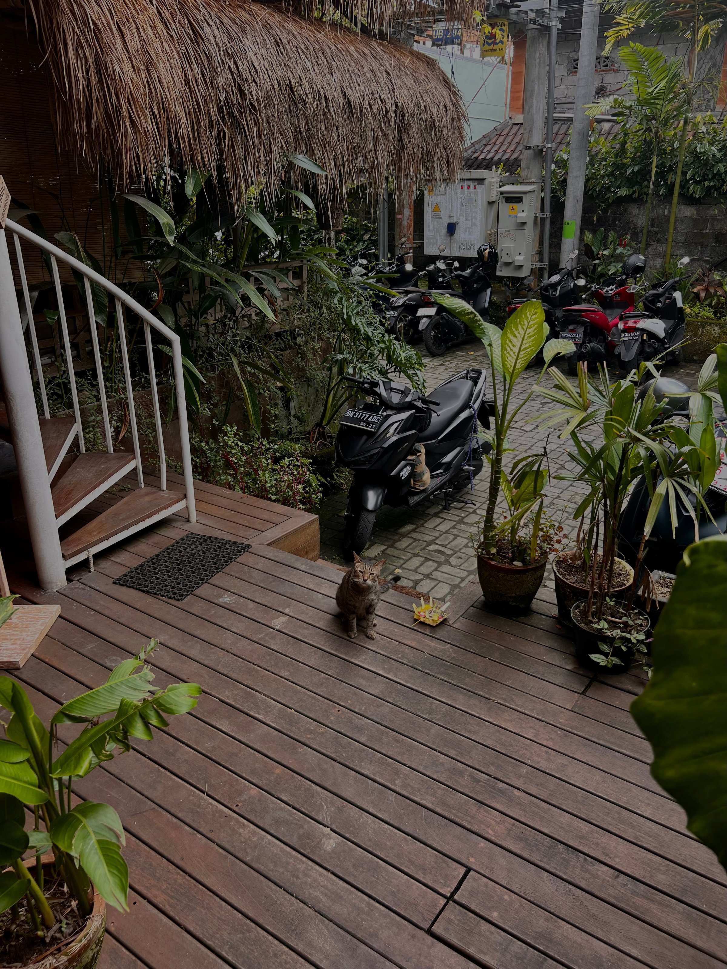 Retreat Journey to Your Higher Self