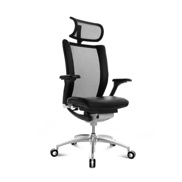 Titan Limited Chair