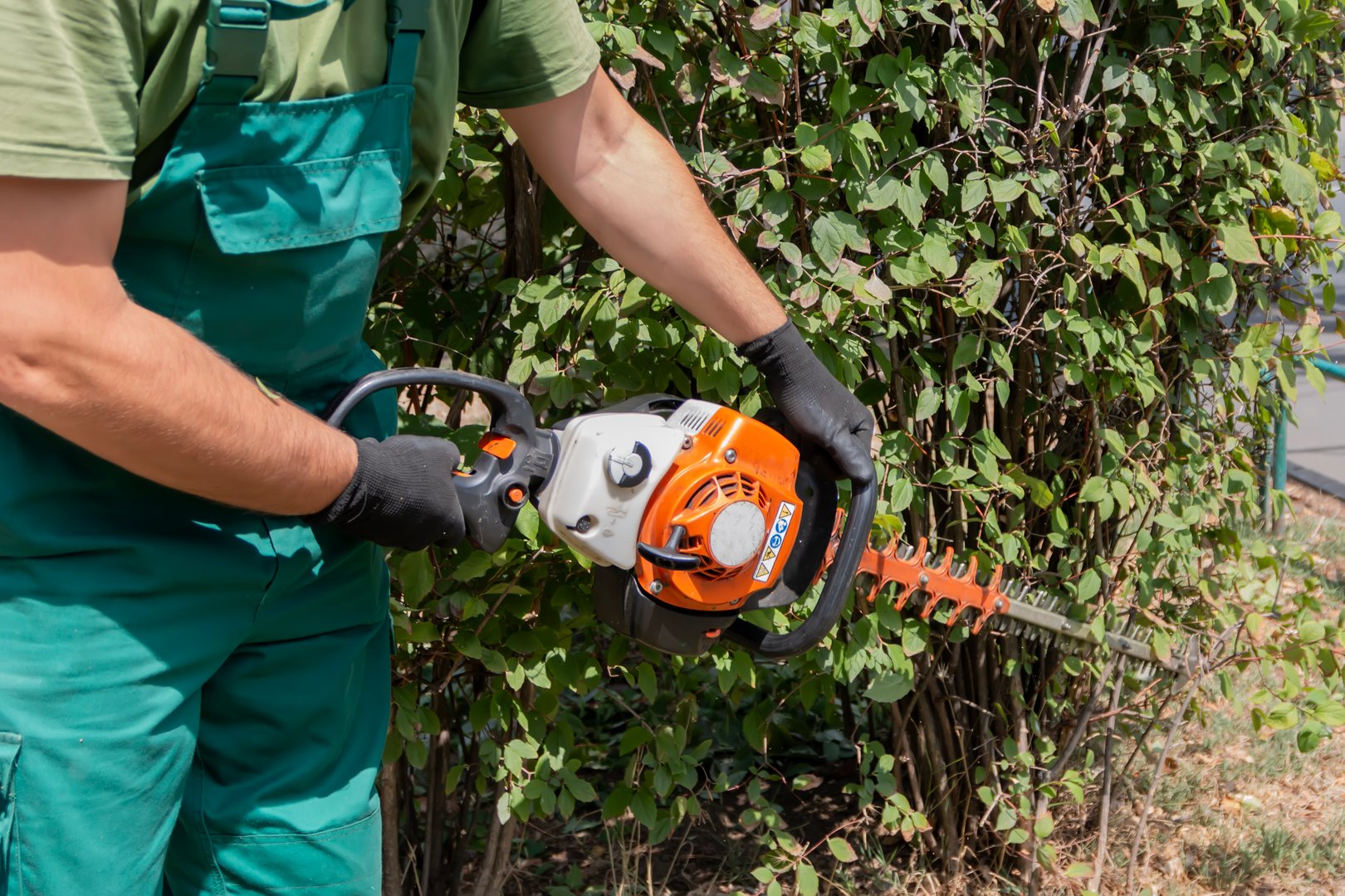 Professional gardener trimming bush with a brush cutter. Garden worker cares of plant cutting bush, mowing grass. Park maintenance