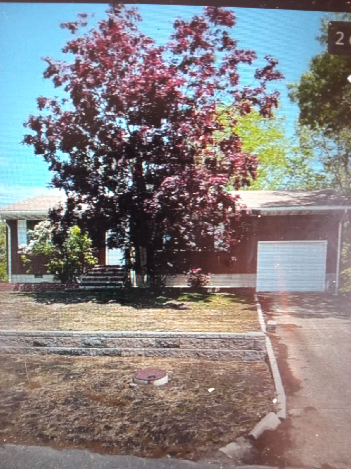 True Form Renovations project work