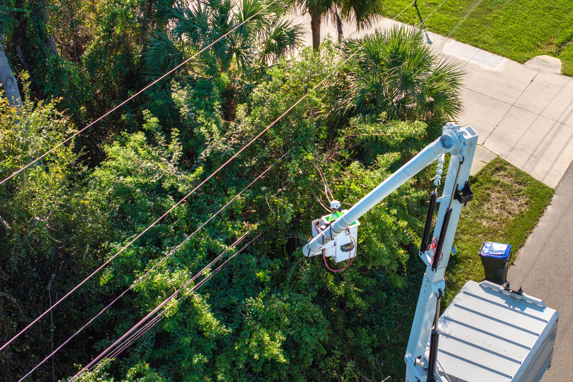 Aerial view of electrician utility worker trimming tree branches around power lines in Florida suburban area.