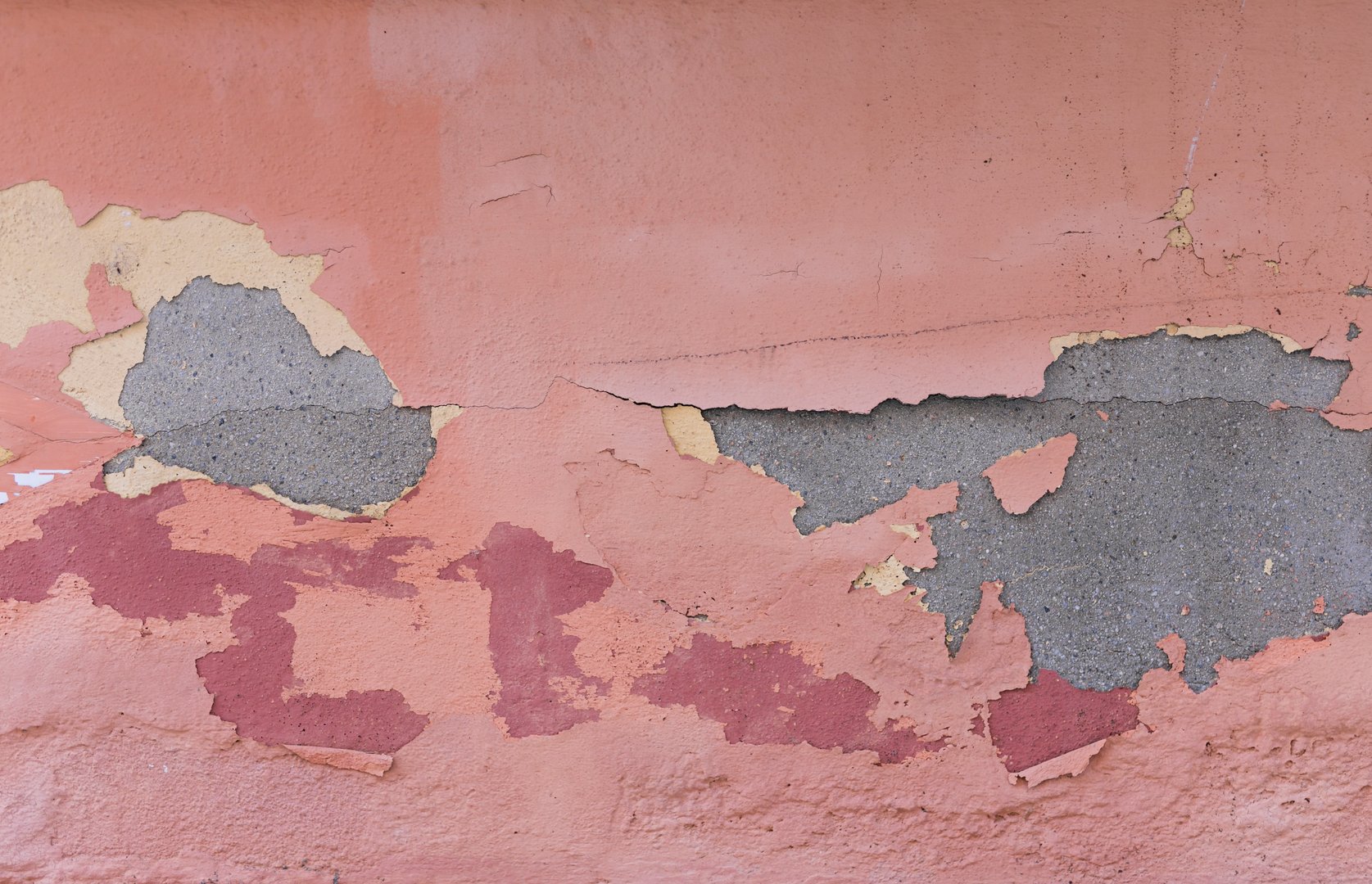 Lead Paint Remediation Service