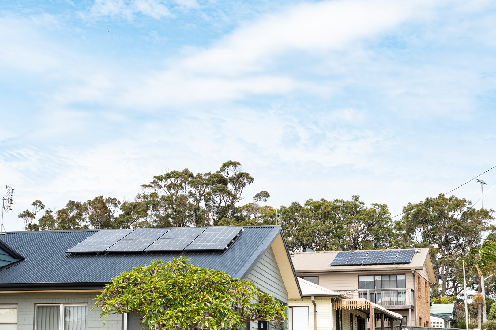 Rooftop solar panels on two houses in a leafy suburb with trees and shrubs with a clear view of the sky
