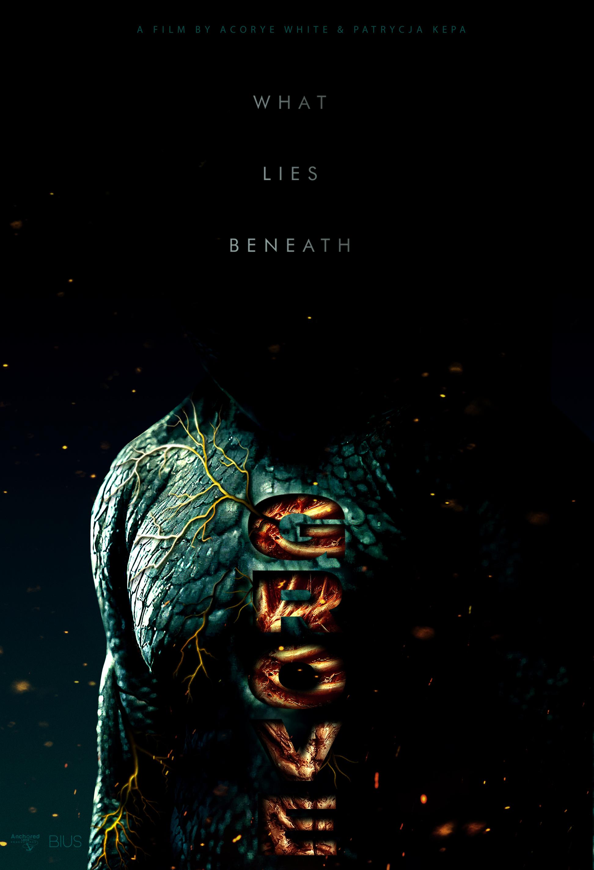 Documentary project poster