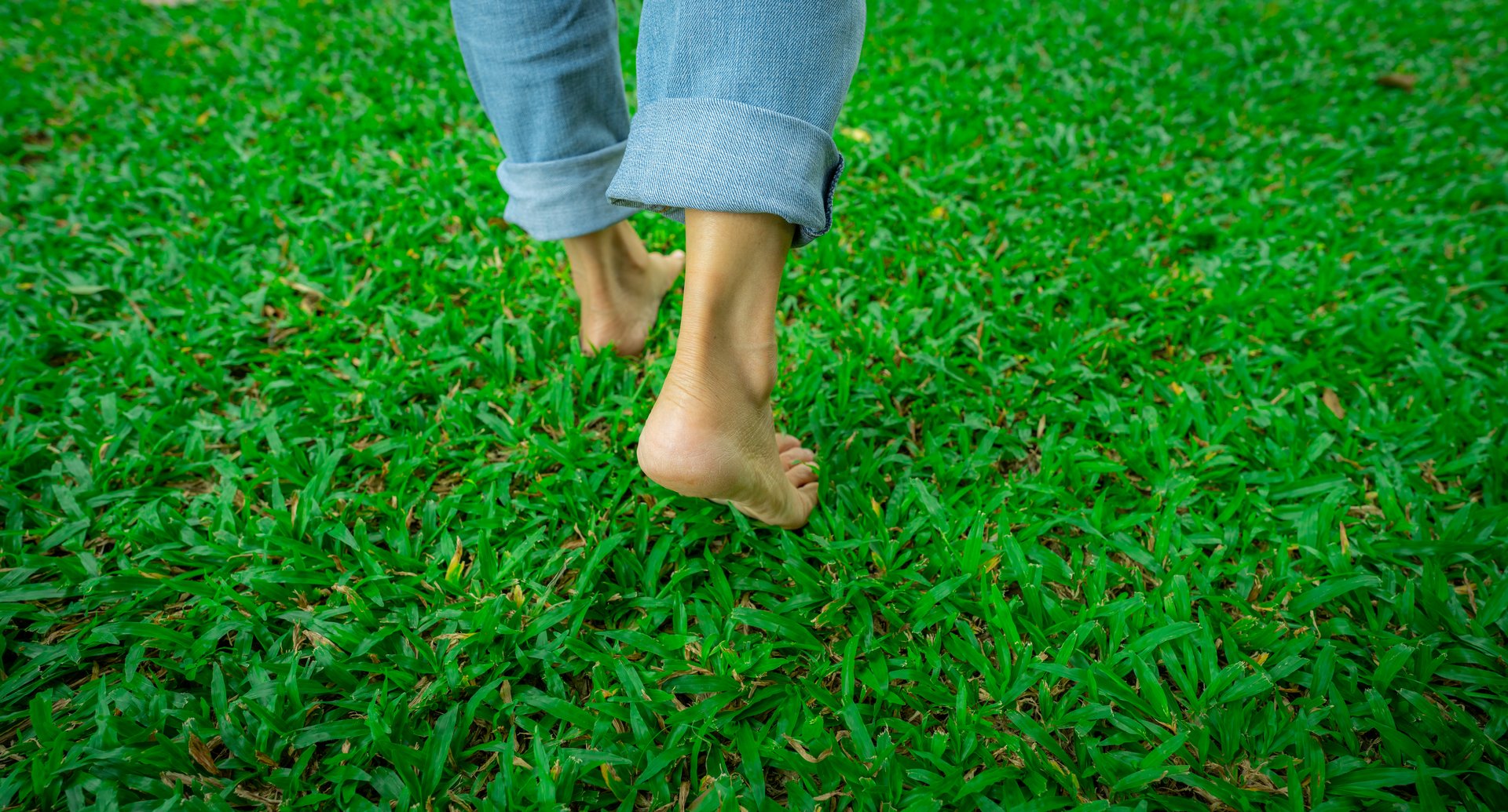 Close-up of barefoot person stepping on lush green grass lawn. Nature connection and natural healing through walking outdoors. Peaceful wellness retreat. Mindful lifestyle and connection to the earth.