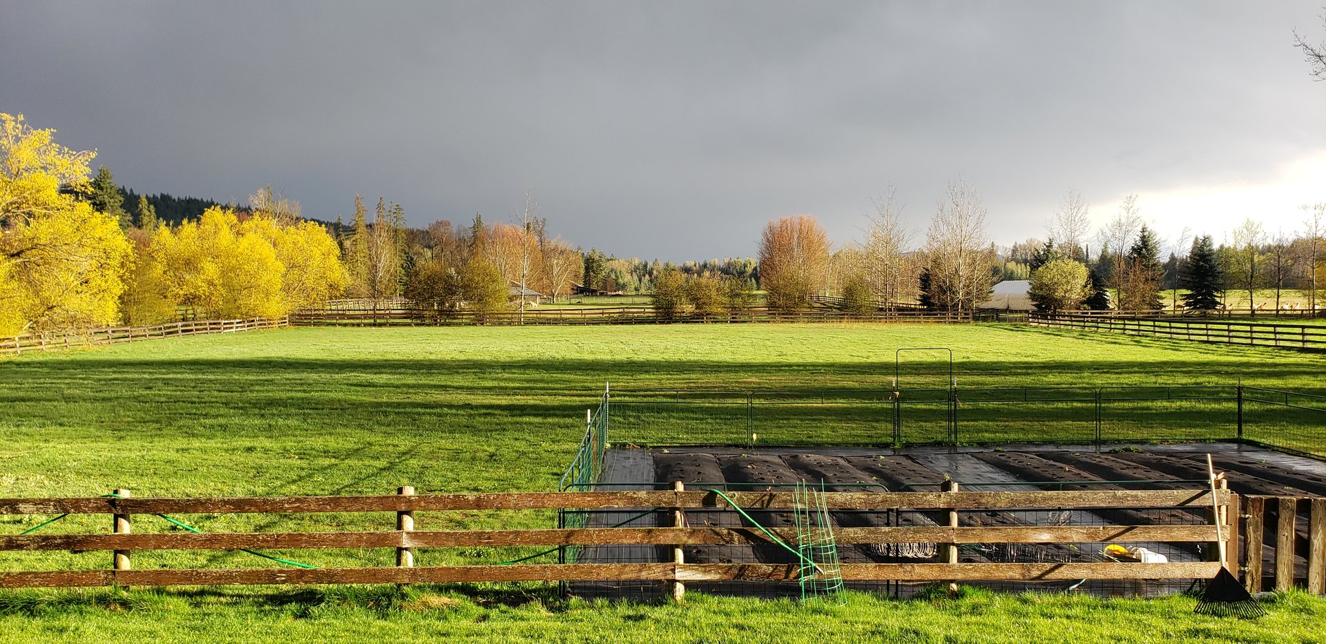 Family Farm Landscape with Agricultural Fields