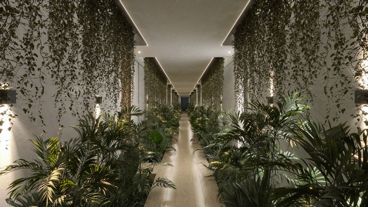 Circulación Planta Baja EDERA