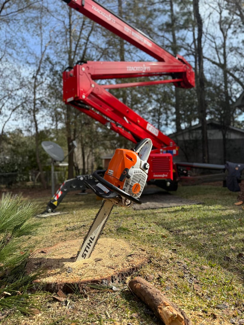 Emergency tree service