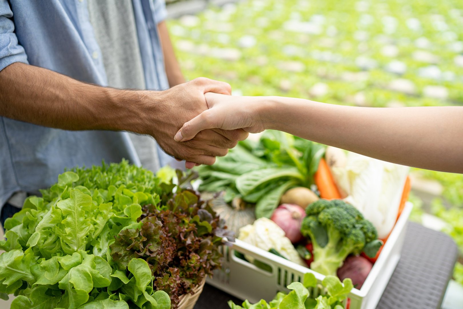 Farm owner talking with customers