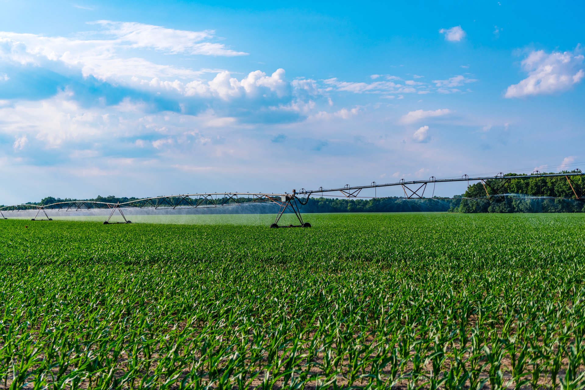 Agricultural irrigation system watering crop field. Hydroponic vegetable farm. Pivot irrigation system in agricultural farmland. Farming and agriculture. Crop field irrigation. Agricultural practices.