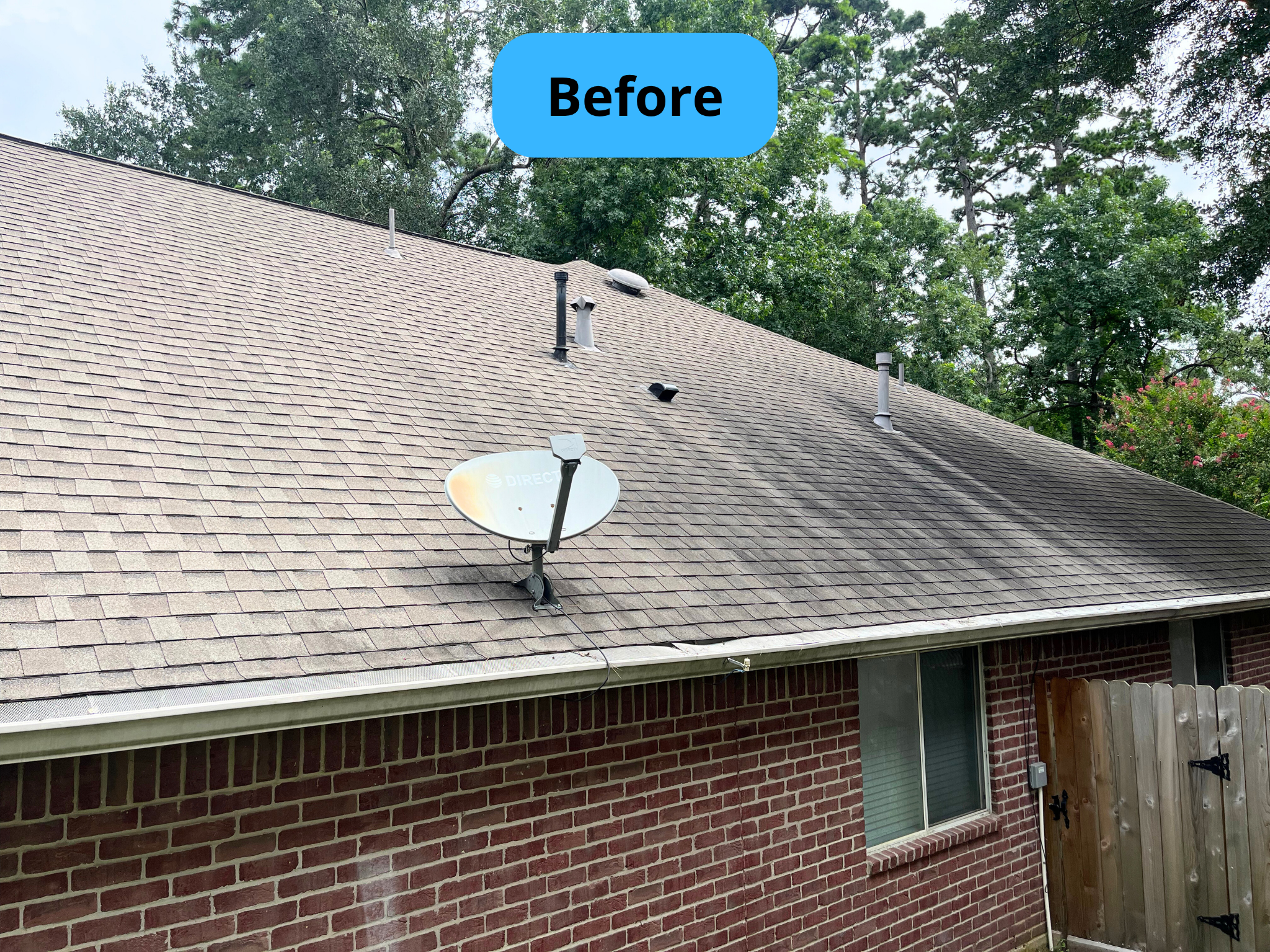 Before roof cleaning