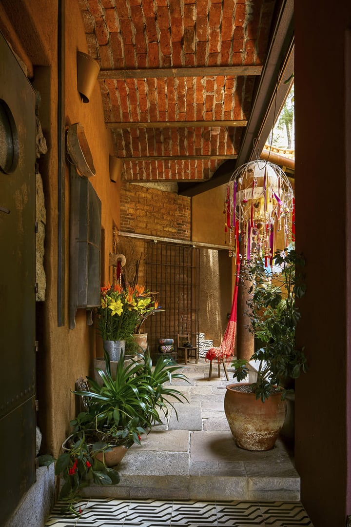 Tropical leaf macro detail
