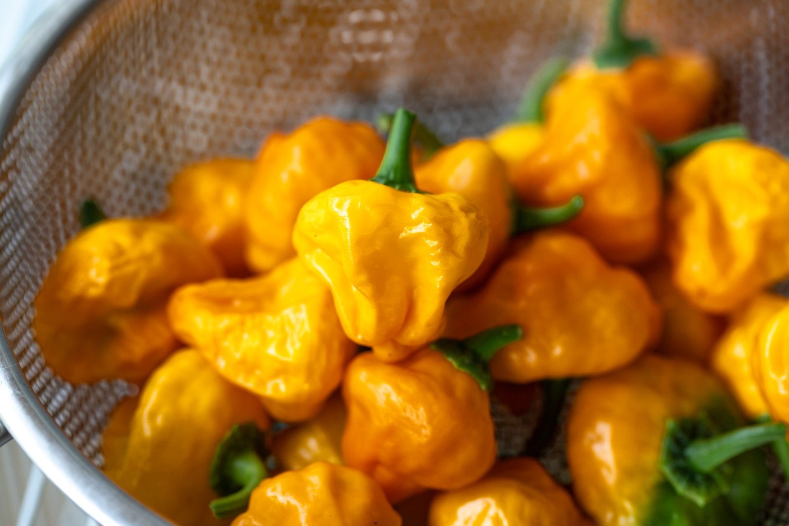 Fresh yellow Jamaican chili peppers