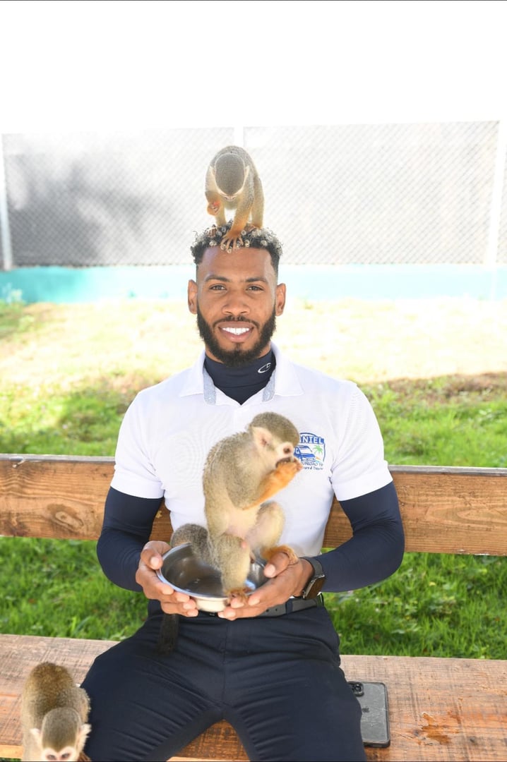 Punctual Transportation Service