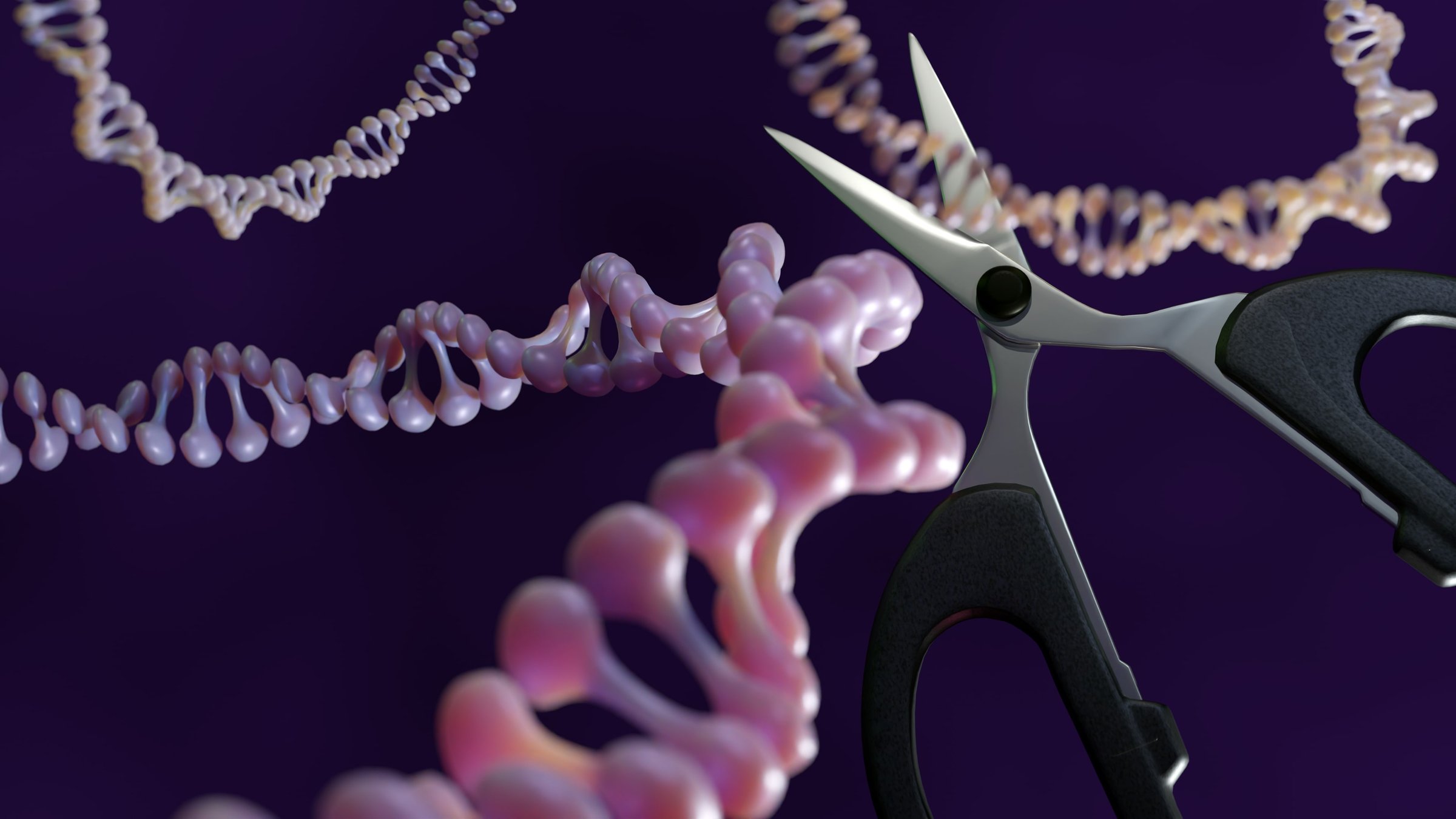 A 3d rendering of plasmid DNA and scissors. CRISPR-Cas9 acts as molecular scissors for plasmid DNA. Modified plasmids can be used as vectors to deliver therapeutic genes.