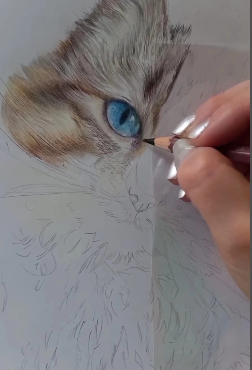 Sylvia Cañizares - Diseñadora y artista ecuatoriana