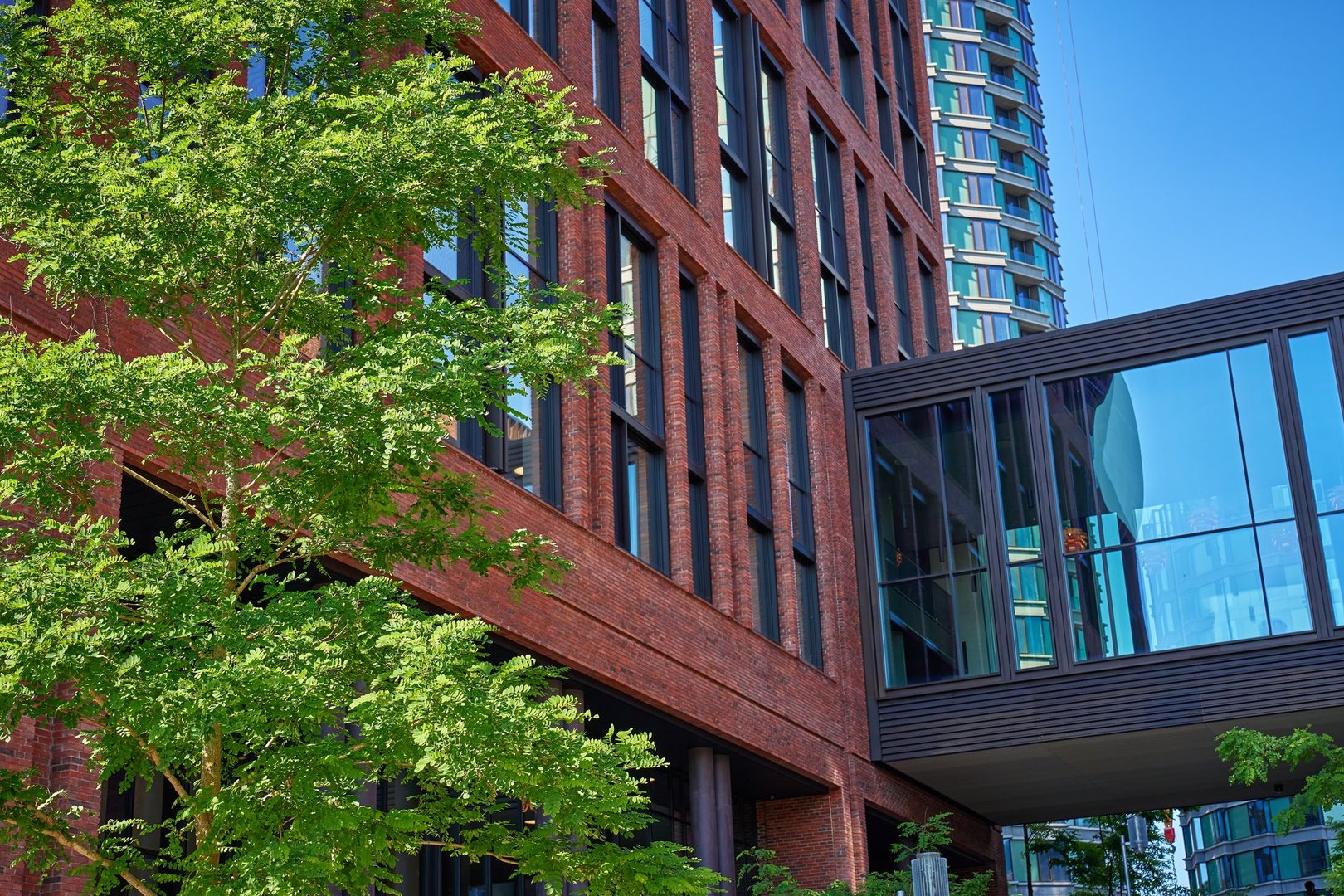 Lush green tree next to modern red brick building. Facade of residential building. Contemporary architectural urban design
